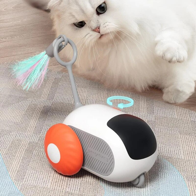 PlayWhisker | Endless entertainment for cats