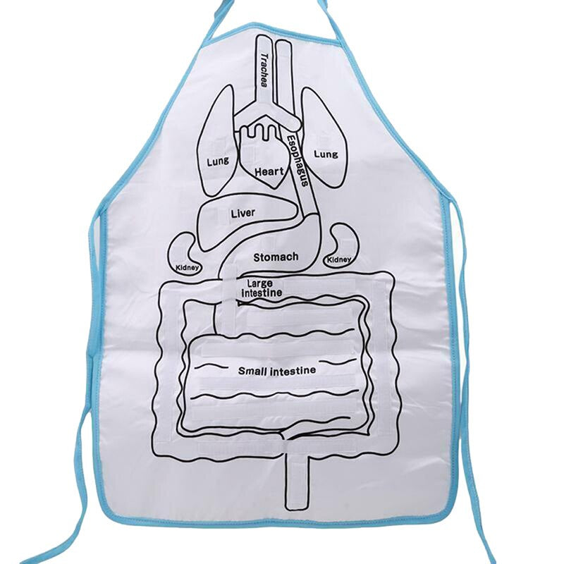 AnatomyApron™ - Ontdek het Menselijk Lichaam - Interactief Schort met Organen