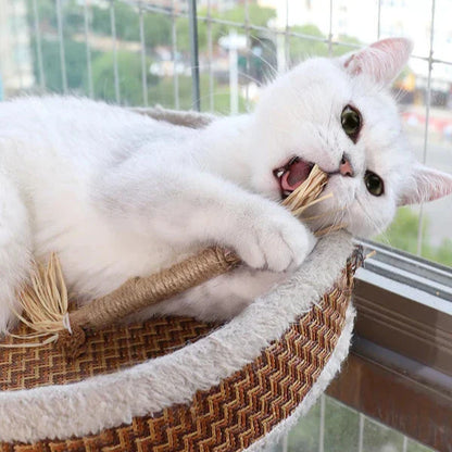 PurrJoy | Voor gezonde nagels zonder knippen