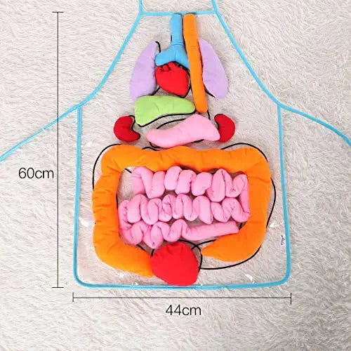 AnatomyApron™ - Ontdek het Menselijk Lichaam - Interactief Schort met Organen