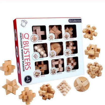 MindPuzzle - Houten Breinbreker Geschenkset met 6 Kongming Slot Puzzels