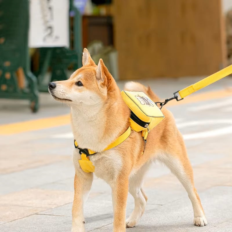 PawTrek  | Praktischer Hunderucksack mit Leine