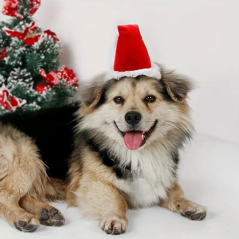 Pattes de vacances | Bonnet de Père Noël doux pour des moments chaleureux de Noël