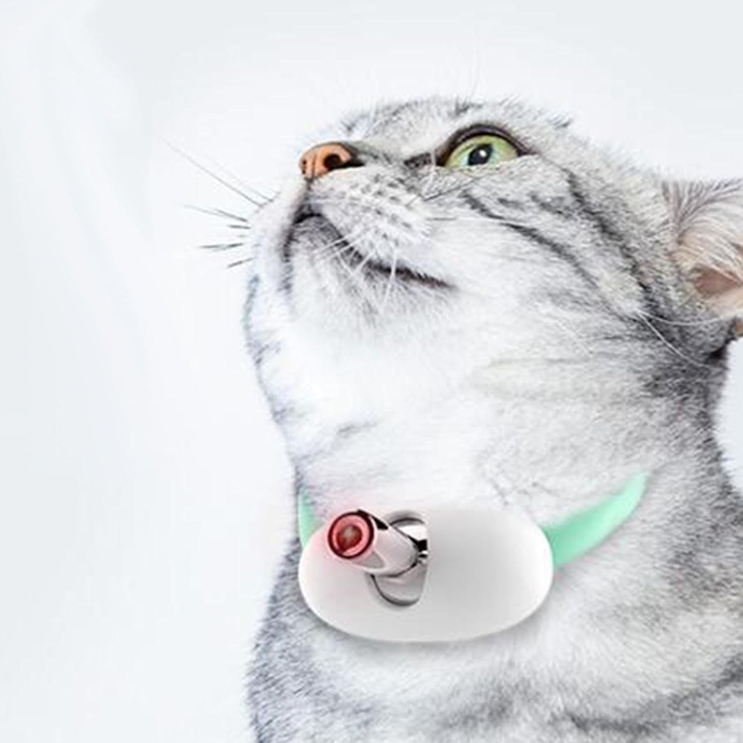 LaserKitty™ | Intelligentes interaktives Laserhalsband