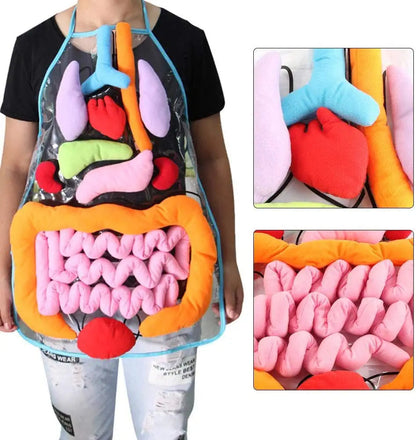 AnatomyApron™ - Ontdek het Menselijk Lichaam - Interactief Schort met Organen