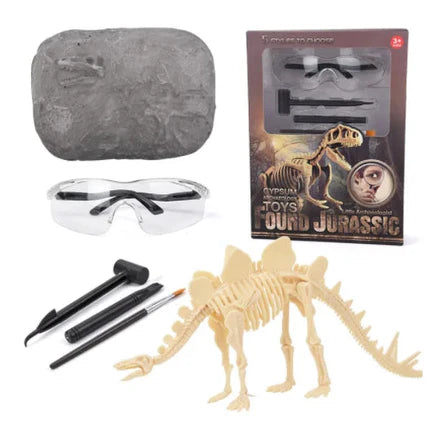 Kit fossile de dinosaure - explorer et découvrir