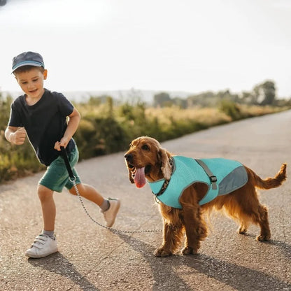 Pfote einfrieren | Schützen Sie Ihren Hund vor Hitze