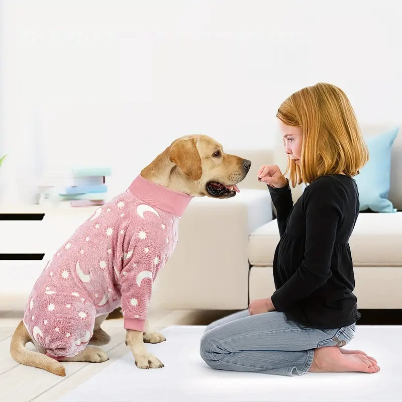 PawJam™ | No more cold, shivering dogs