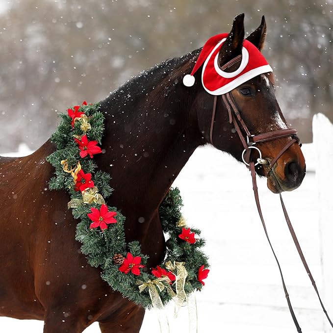 Daisy | Warm Santa Hut fir Äert Päerd ze blénken