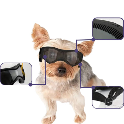 PupVisor™ | Trendy UV-hundebriller