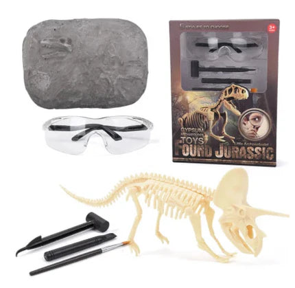 Kit fossile de dinosaure - explorer et découvrir