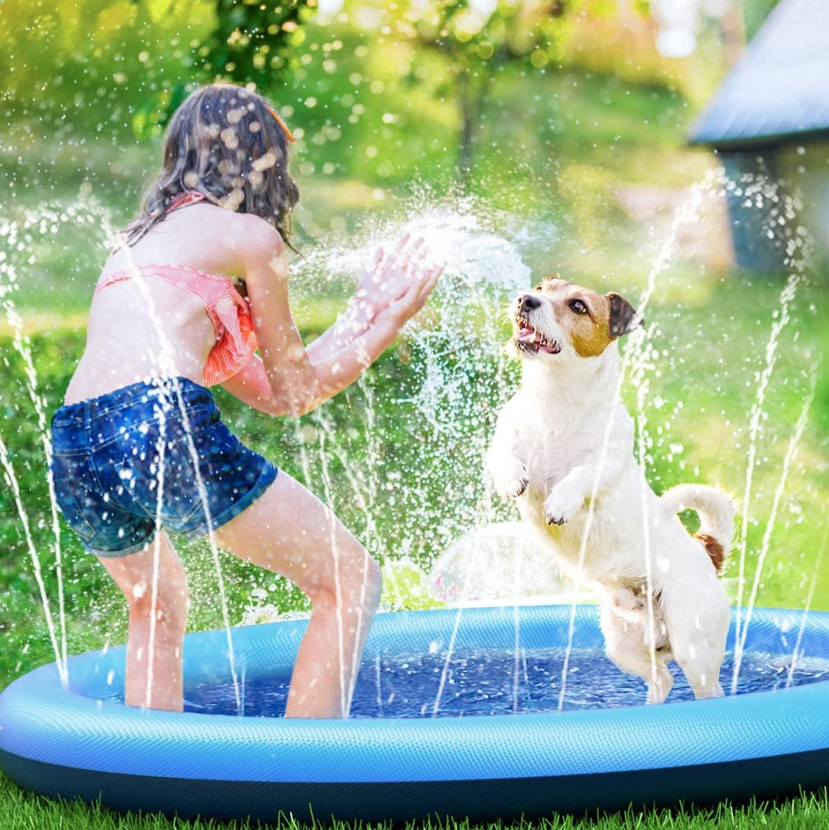 AquaBuddy™ | Ihr Wasserparadies im Hinterhof!