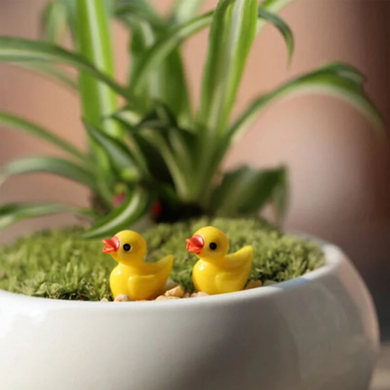 Petits canards | Défi des Canards Cachés (50 Pièces)