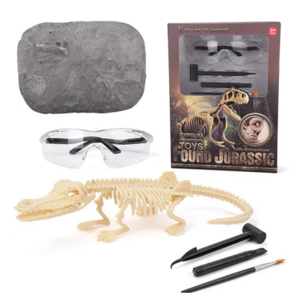 Kit fossile de dinosaure - explorer et découvrir