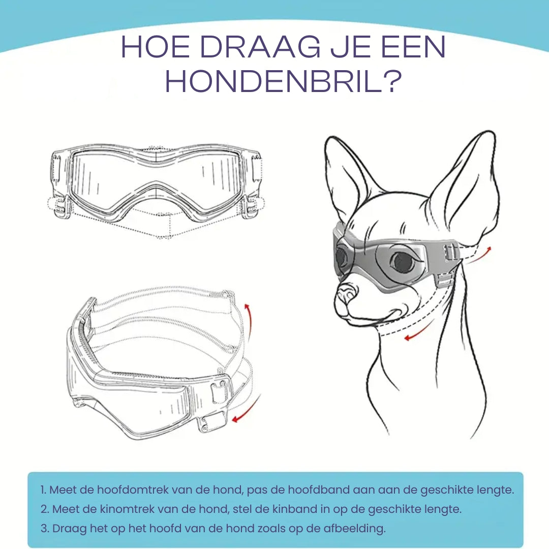 PupVisor™ | Trendy UV Dog Sunglasses