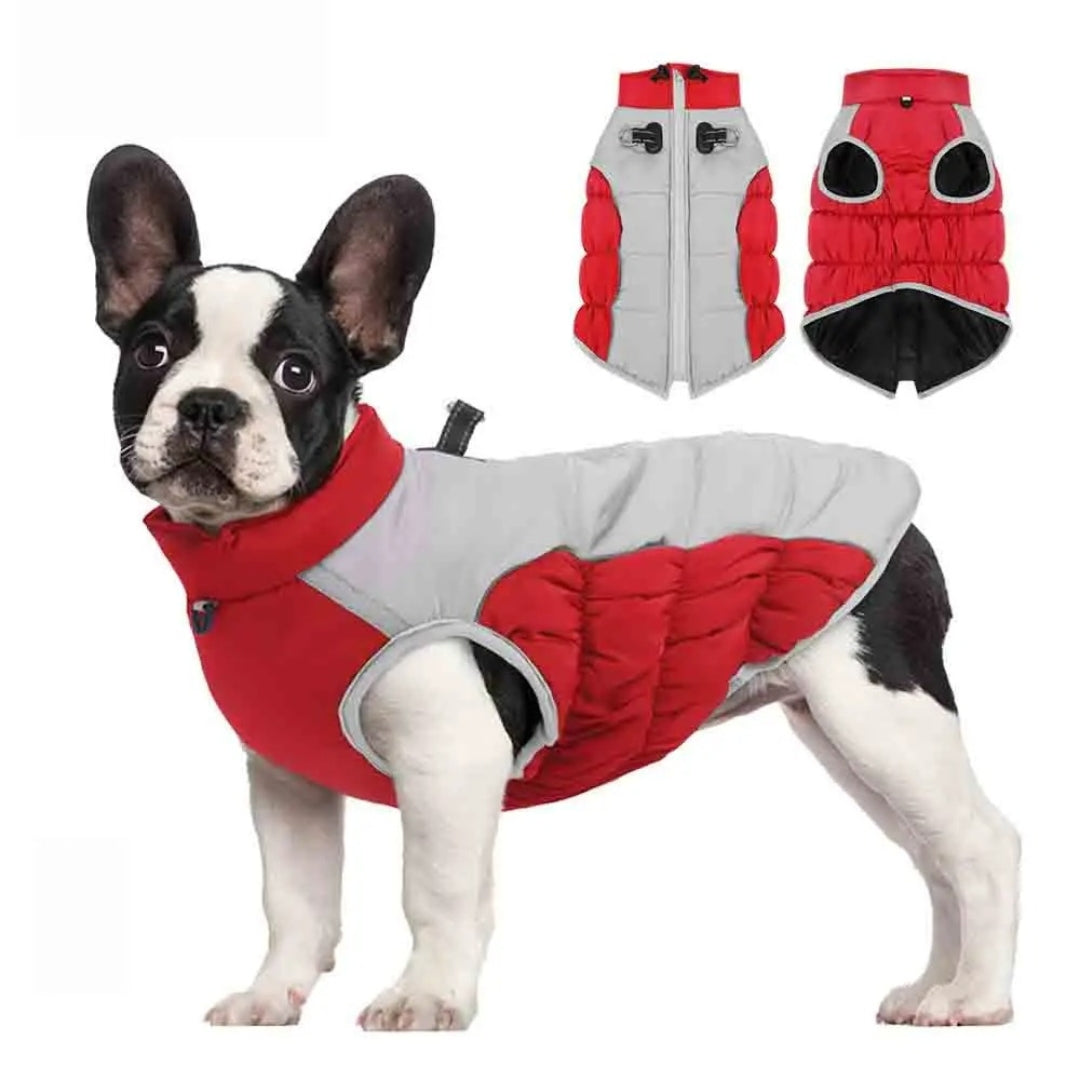 DogWarmer | Dog Coat with Built-in Harness