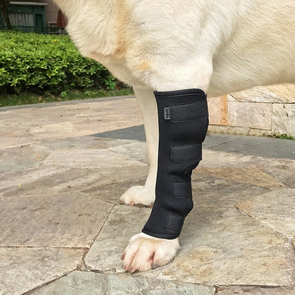 ActivePaw™ | Knæbeskytter til sikker og smertefri bevægelse
