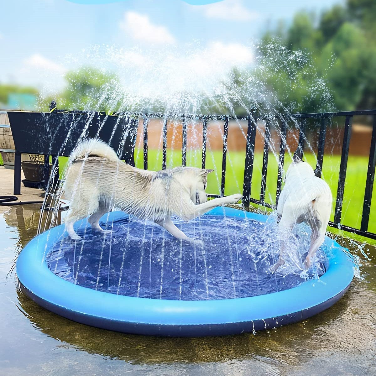 AquaBuddy™ | Ihr Wasserparadies im Hinterhof!