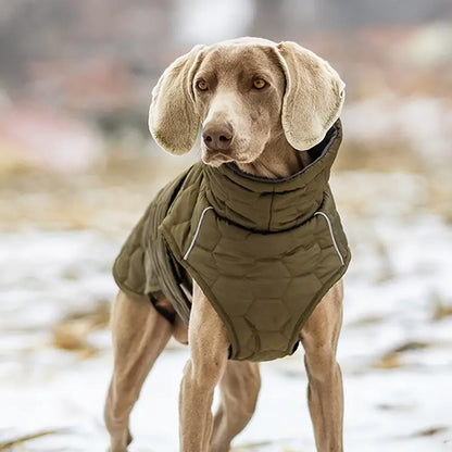 Pfotenschutz | Warmer und wasserdichter Hundemantel