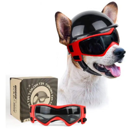 PawsBiker | Inklusiv gratis Schutzbrëller (wäert € 19,95)