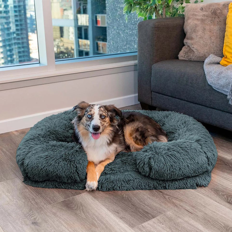 ComfortPaws | Kalmerend Bed (Memory Foam)