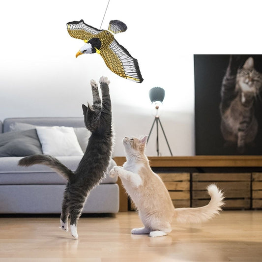 SkyHunter | Flugspaß für Ihre Katze