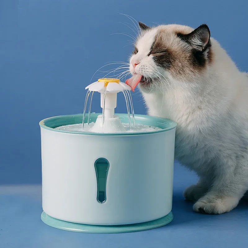 AquaPaws Trinkbrunnen™ | Weil Ihre Katze nur das Beste verdient