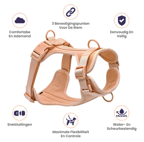 FlexiPaws™ | Stress-Free Harness Without Pulling
