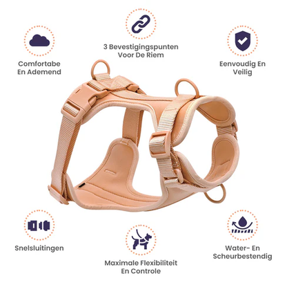FlexiPaws™ | Stress-Free Harness Without Pulling