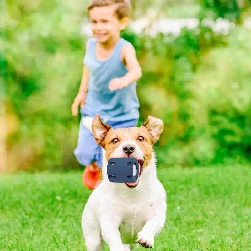 FetchFun | Aktivspielzeug für Hunde