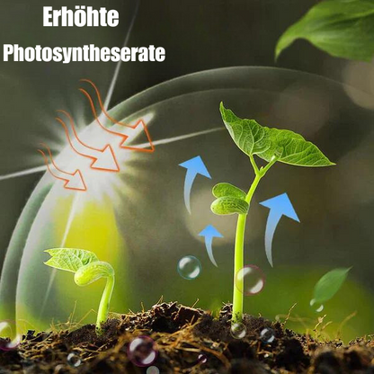 Planten Groei Versterker Supplement