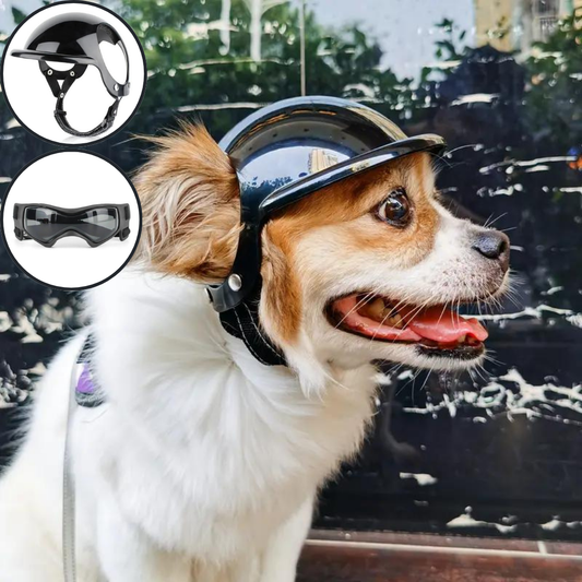 PawsBiker | Y compris des lunettes de protection gratuites (d'une valeur de 19,95 €)