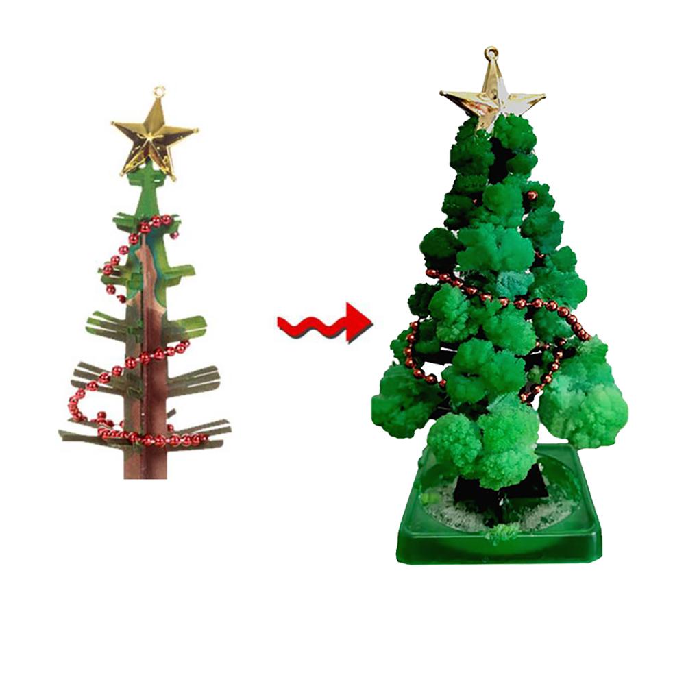 XmasSprout™ - Kerstboom Kweekset