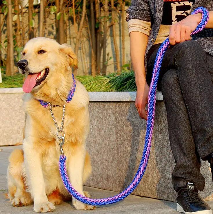 PawMaster | Premium Grip Dog Leash