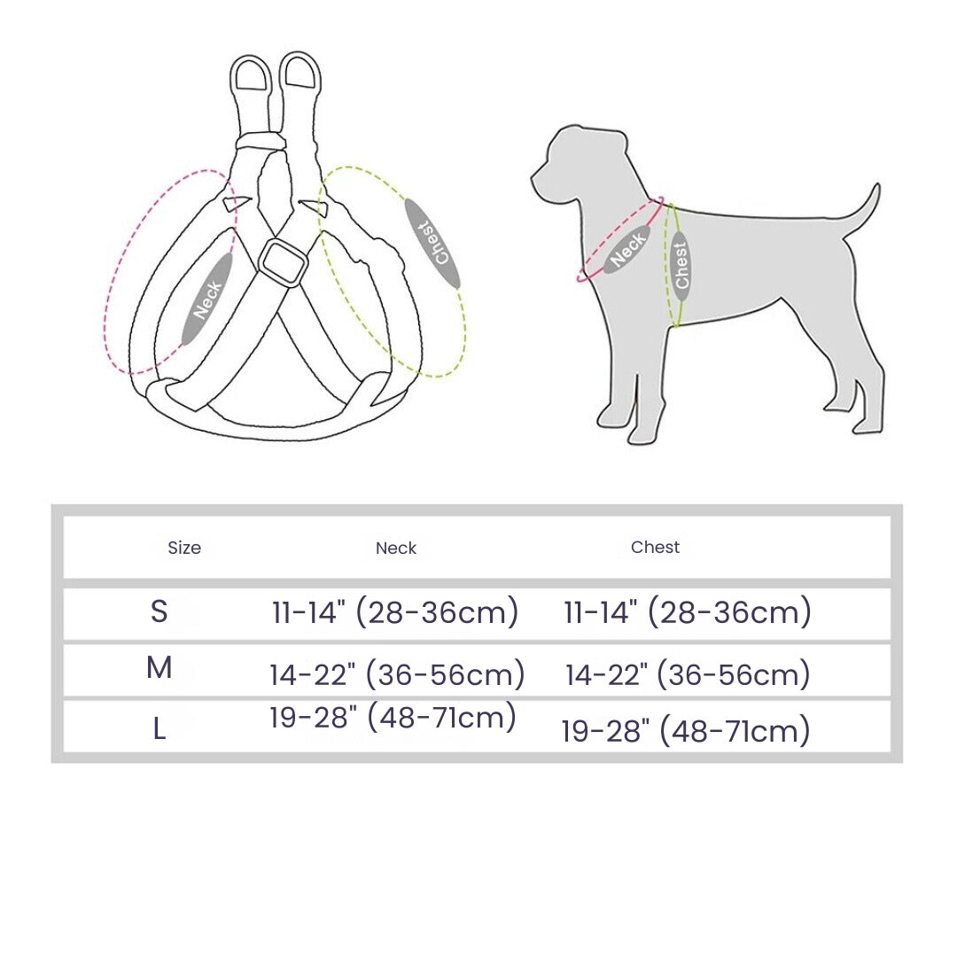 KomfortPaws | Atmungskomfort a manner Stress