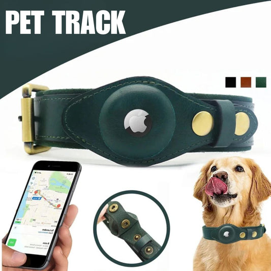 PetTrack | Real-Time Tracking Halsband