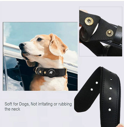 TrackMate™ | Real-Time Tracking Collar