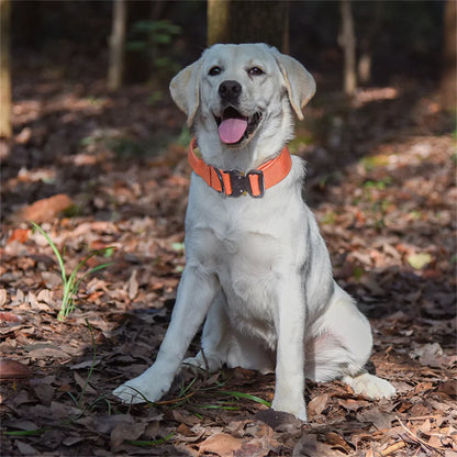 PawStride  | Contrôle solide sans irritation