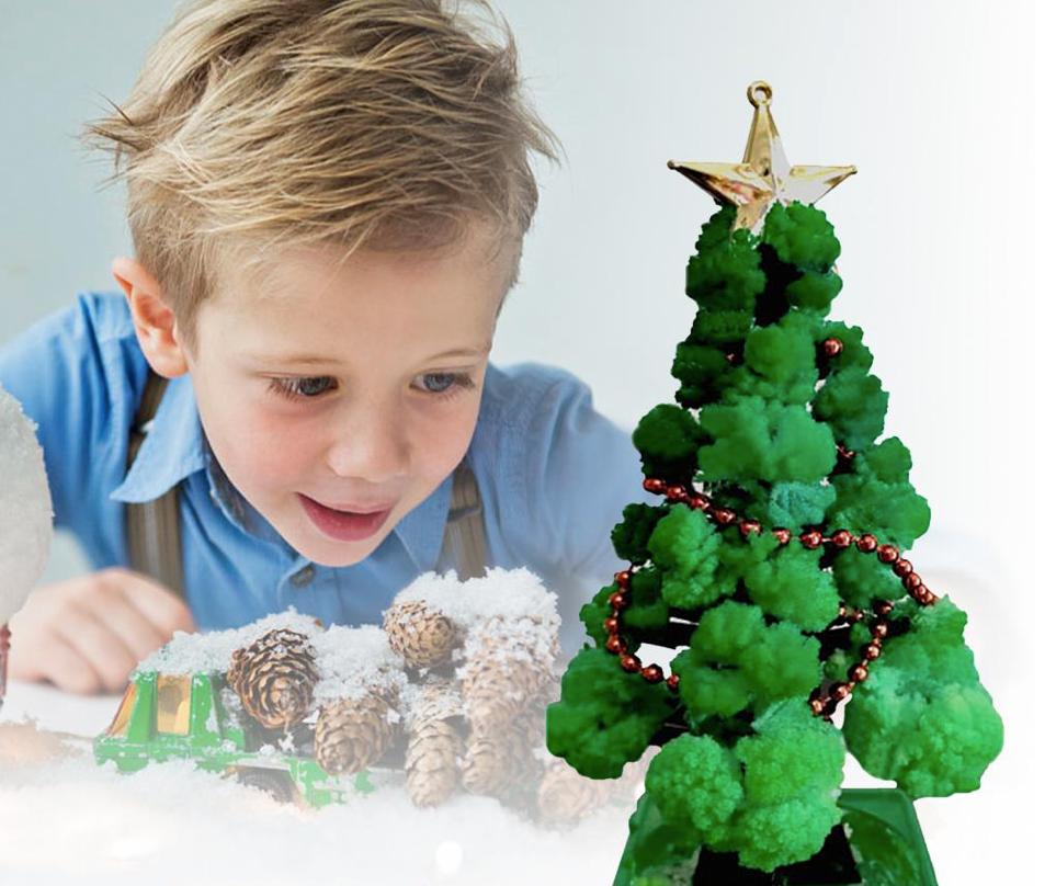 XmasSprout™ - Kerstboom Kweekset