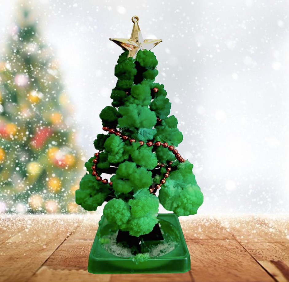 XmasSprout™ - Kerstboom Kweekset