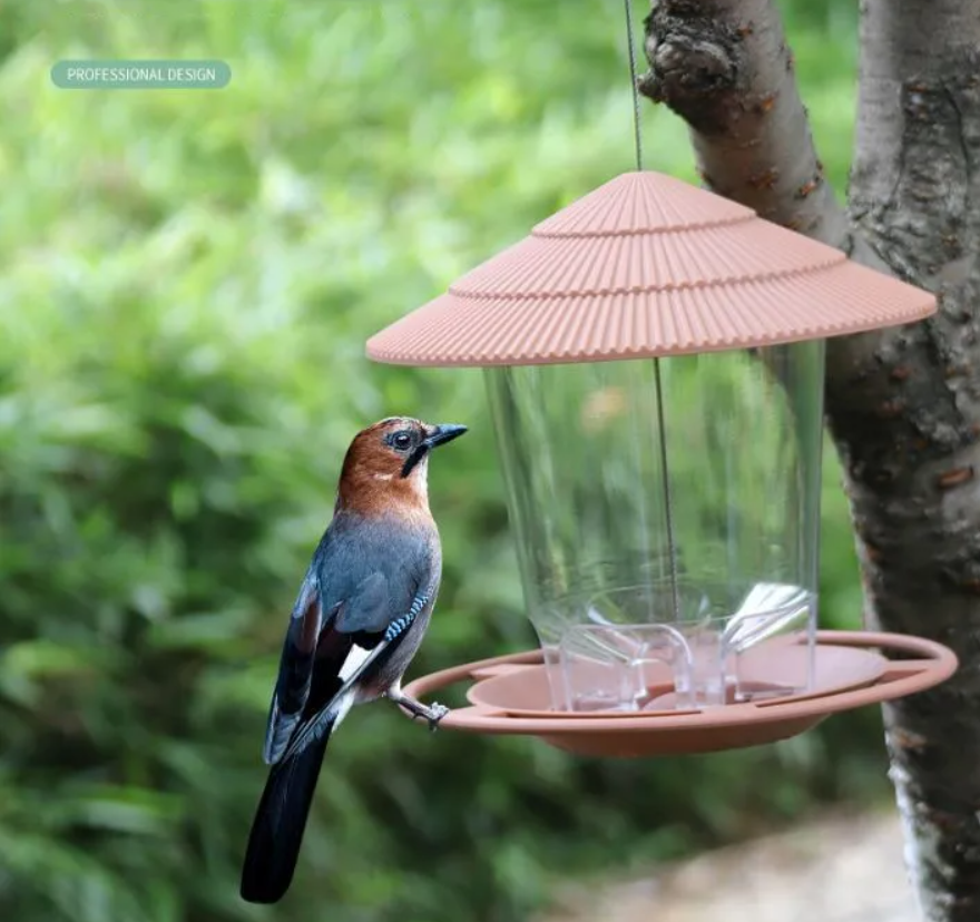 Buitenhanger Noten Vogelvoeder | Transparant en Automatisch