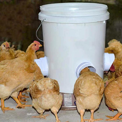 PoultryFeeder | De Ultieme Voederoplossing