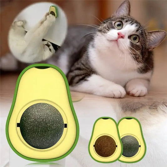 AvocadoPaws | 1+1 Free