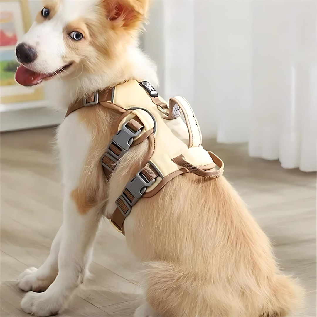 FurGuard | Anti-Pull Dog Harness with reflection