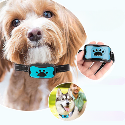 QuietPaw | Innovatieve anti blaf halsband