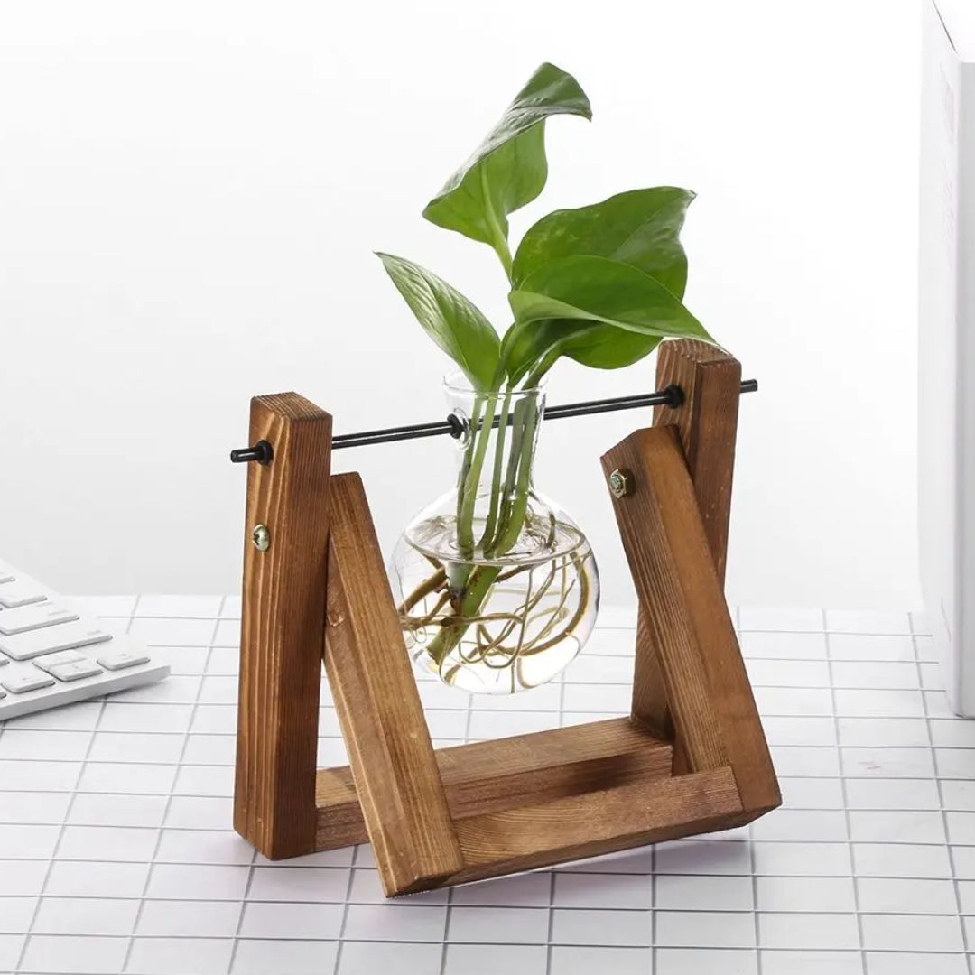 Hydroponische Bloempot met Houten Tafelblad Tray