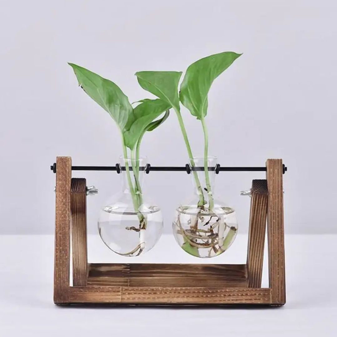 Hydroponische Bloempot met Houten Tafelblad Tray