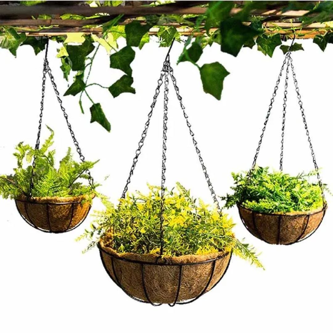 Ronde Hangende Plantenmand