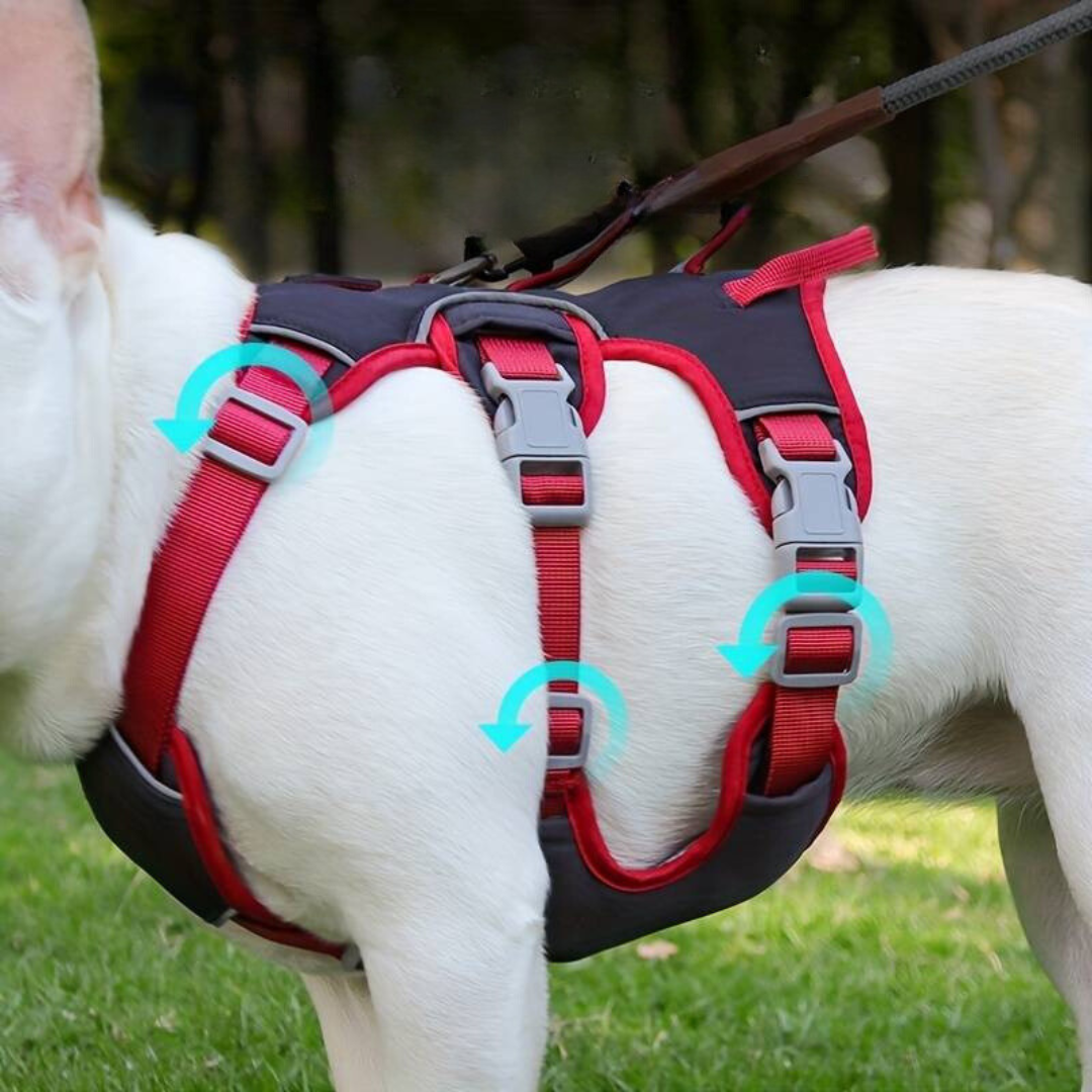 FurGuard | Anti-Pull Dog Harness with reflection