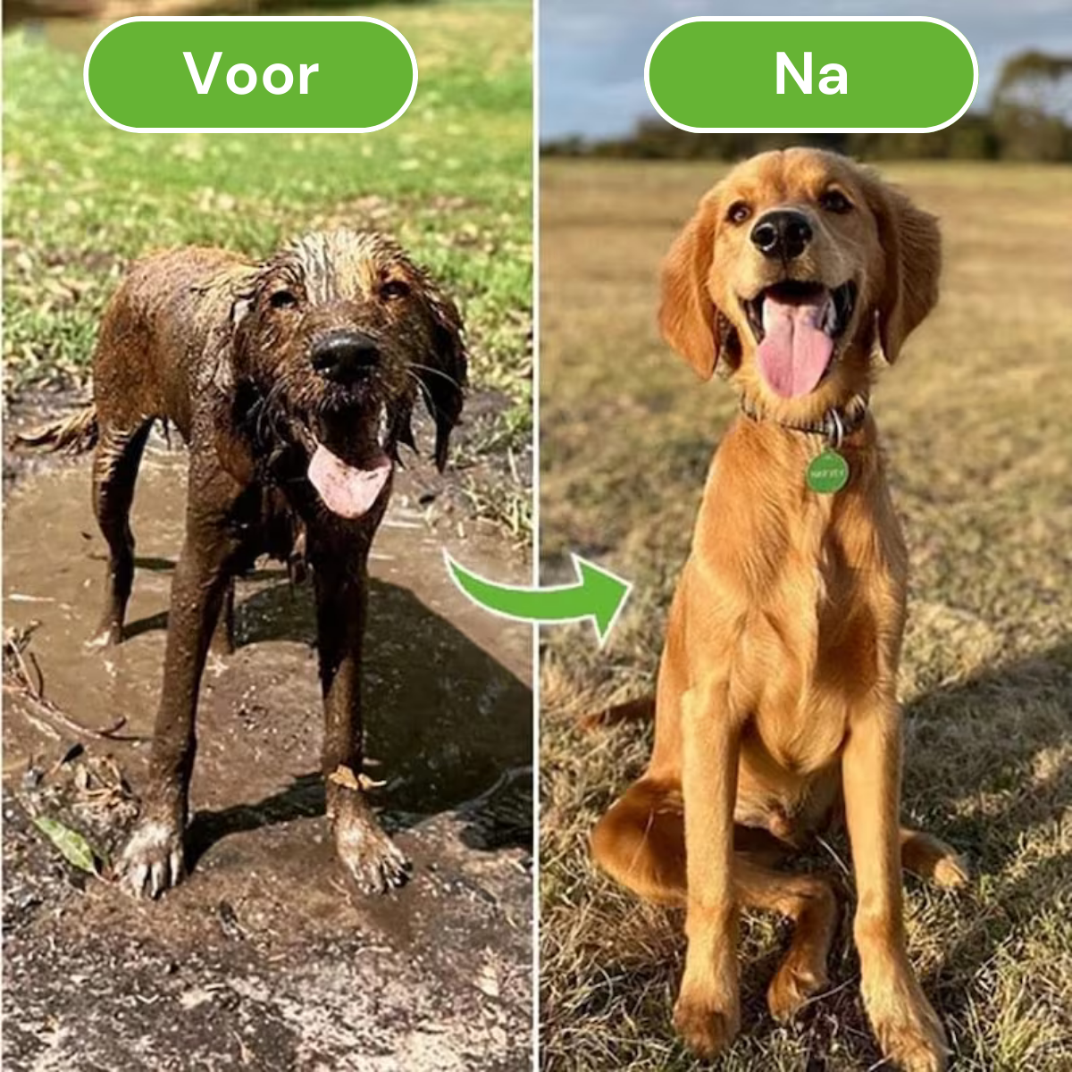 SoapyPaws™ | Ultimate Dog Spa Bruserhoved
